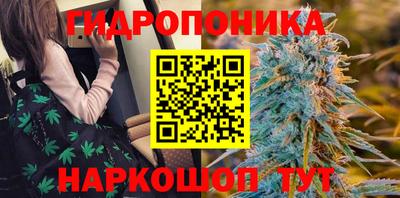 дурь Шебекино
