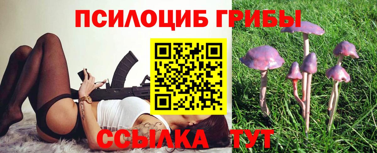 Галлюциногенные грибы ЛСД  Вход с VPN  Ачхой-Мартан 