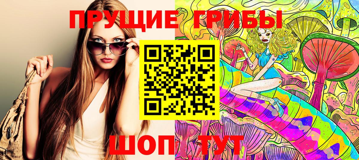 Псилоцибиновые грибы Psilocybine cubensis Ачхой-Мартан